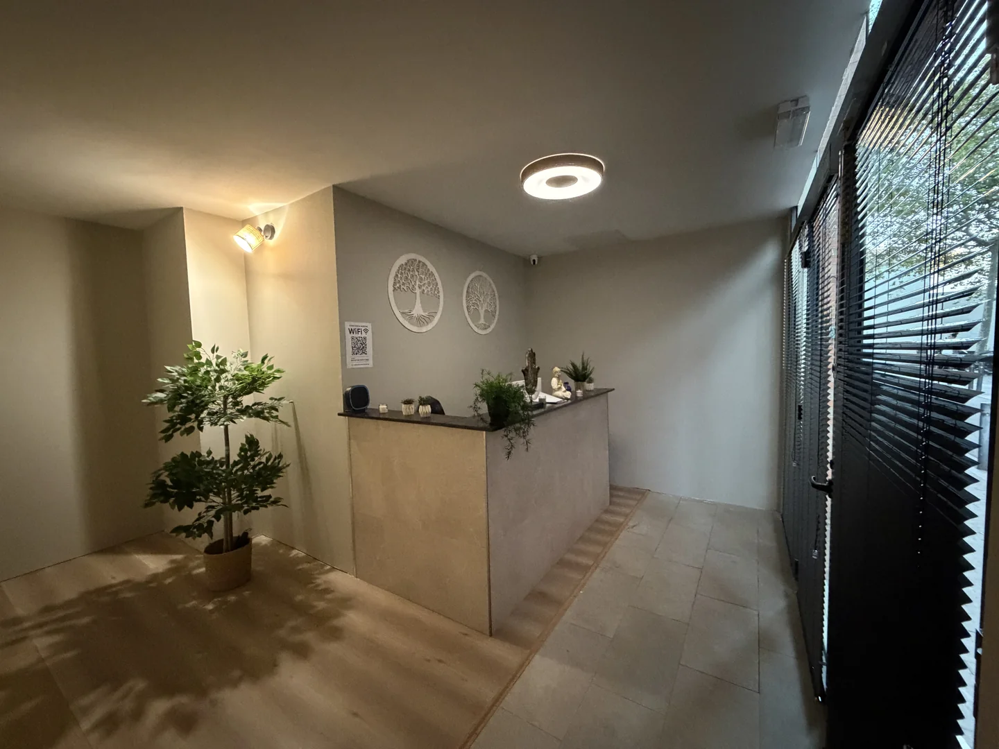 Recepción con mostrador, plantas y relojes en la pared